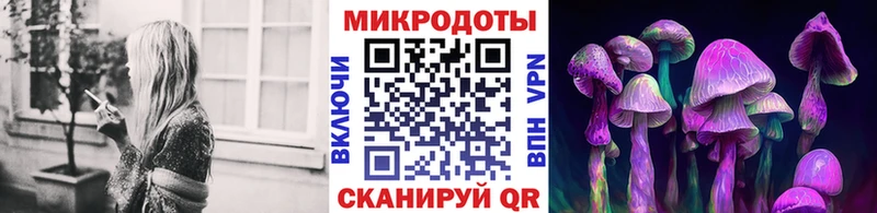 mega зеркало  Никольск  Псилоцибиновые грибы Psilocybine cubensis 